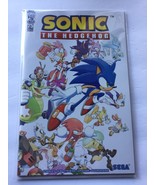 2024 IDW Comics Sonic the Hedgehog Wraparound Variant Cover C #75 - $17.96