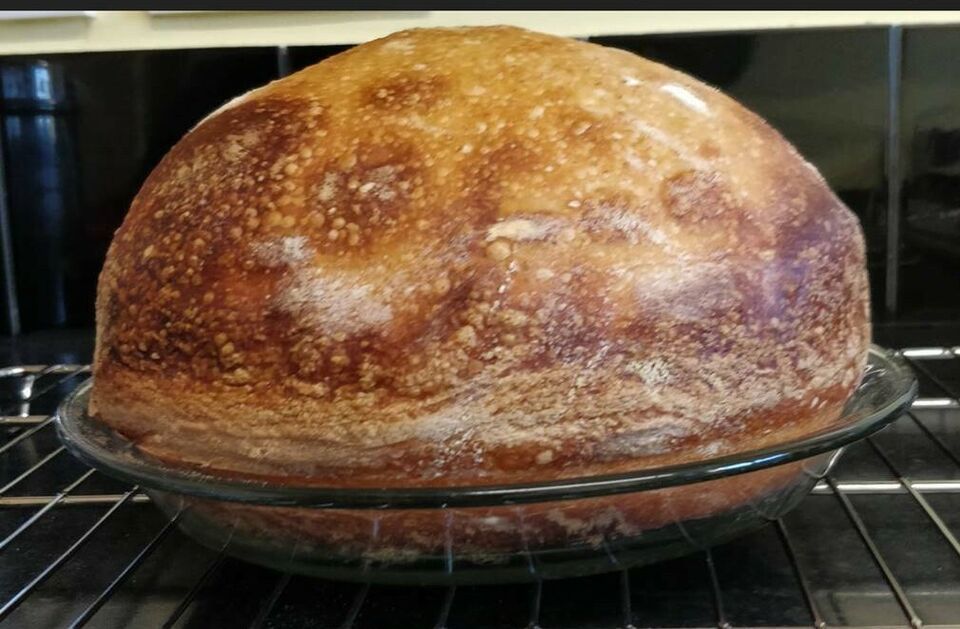 ALASKAN SOURDOUGH STARTER yeast 100 years old making bread is a great cr... - $7.72