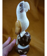 (TNE-BIR-PAR-514b) Parrot tropical bird TAGUA NUT figurine carving birds... - $809.36 MXN