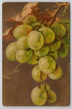 Still Life Art Branch of Green Grapes Postcard B29 - £5.49 GBP