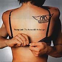 Aerosmith : Young Lust: The Aerosmith Anthology CD 2 discs (2001) Pre-Owned - £11.90 GBP