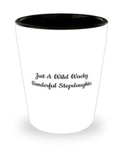 Unique Stepdaughter Gifts, Just A Wild Wacky Wonderful Stepdaughter, Coo... - £7.79 GBP