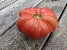 Seeds Brandywine Tomato - Heirloom- Large Fruited Red or Yellow or Black... - $3.93+