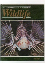 THE ILLUSTRATED ENCYCLOPEDIA OF WILDLIFE VOLUME 34 FISHES - £3.06 GBP