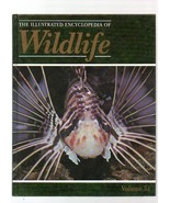 THE ILLUSTRATED ENCYCLOPEDIA OF WILDLIFE VOLUME 34 FISHES - £3.07 GBP