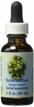 Flower Essence Services Dropper Herbal Supplements, Scleranthus, 1 Ounce - £11.69 GBP