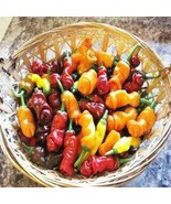 Red Hot Peter Pepper Vegetables &amp; Fruit Seeds (Pepper Mix), 200 Seeds  - $227.21 MXN