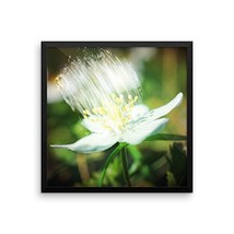 Framed Art Flower Poster - Ready To Hang Picture - Wall Decor - £45.75 GBP