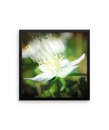 Framed Art Flower Poster - Ready To Hang Picture - Wall Decor - £43.77 GBP