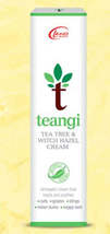 Tea Tree And Witch Hazel Antiseptic Cream for pain and itching 28g - $5.00