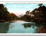 Keene Valley Ausable River Adirondack Mountains New York NY UNP WB Postc... - $3.91