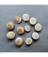 21pc Natural White Round Gomti Chakra River Stones - $16.15