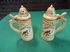 Great Collectible KENTUCKY Salt &amp; Pepper Shakers......FREE POSTAGE USA - $12.46