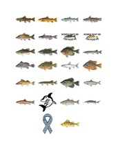 Fish Stickers and Magnets Small Mouth Bass and More Full List Below GGS ... - £4.75 GBP+