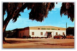 Mixon Fruit Farms Bradenton Florida FL UNP Chrome Postcard XB5 - $2.92