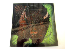 Buffalo Totem Spirit Grid Board Flower of Life Laminated 8x8inch Animal ... - $158.50 MXN