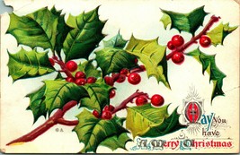 Holly Branch Berries May You Have a Merry Christmas UNP Embossed DB Postcard B5 - £3.14 GBP