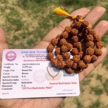 Lab Certified Natural 5 Mukhi Rudraksha Rudraksh Mala Rosary 54+1 Prayer Beads - £19.62 GBP