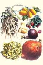 Vegetables; Lettuce, Persimmon, Turnip, potato, pumpkin, Strawberries, and Legum - £17.36 GBP+