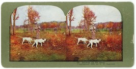 1899 Colorized Ingersoll Stereoview &quot;Backing Up The Point&quot; Bird Dogs Hunting - £9.58 GBP