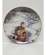 The American wigeon ducks plate - $28.00