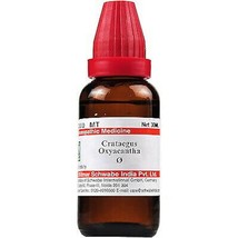 Willmar Schwabe India Crataegus oxyacantha 1X (Q) (30ml)  + FREE SHIP - £13.83 GBP