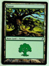 Forest #299 - Lorwyn  Ed. - 2007 - Magic the Gathering Card - £1.40 GBP