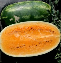 Tendersweet Orange Watermelon Seeds Very Sweet NON-GMO Heirloom  - £7.53 GBP