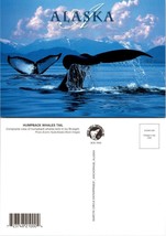 Alaska Humpback Whale&#39;s Tail Splashing In The Water Mountain VTG Postcard - $9.40