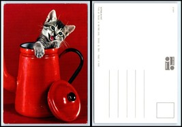 CAT Postcard - Cute Kitten Coming Out Of Tea Pot D20 - £2.32 GBP