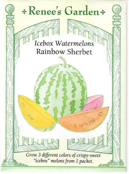 Watermelon Icebox Rainbow Sherbet Vegetable Seeds Fresh Garden - $11.20