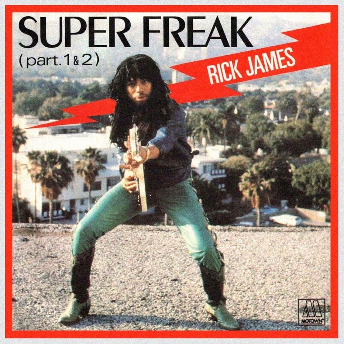 RICK JAMES Super Freak BANNER 2x2 Ft Fabric Poster Tapestry Flag album c... - $22.00