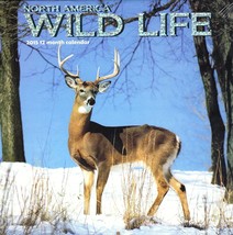 North America Wild Life - 2015 12 Month Wall Calendar - $9.89