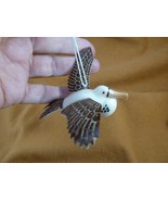 TNE-BIR-FR-292b) little Frigate Man war pirate bird ornament TAGUA NUT f... - $36.45