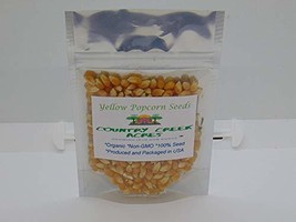 12 oz Yellow Popcorn Seed for Growing, Heirloom, Open Pollinated Non-GMO Garden  - £11.94 GBP