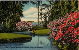 Tropical Lagoon at Cypress Gardens Florida  Vintage Postcard  (D7) - £4.61 GBP