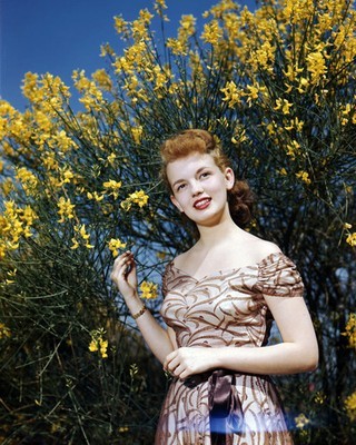 JOAN EVANS PREMIUM PRINTS AND POSTERS 294741 - $32.99