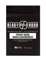 Freeze Dried Blueberries 8 Servings Pouch 30 Year Shelf Life Emergency Food - $20.86 CAD