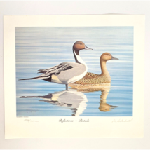 1985 Pintails Bob Kothenbeutel Artist Signed Numbered Ltd Edition Wild Images - £27.93 GBP