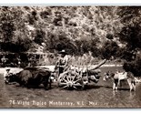 RPPC Vista Tipico Ox Pulling Cart Donkey Burro Monterrey Mexico UNP Post... - £3.85 GBP