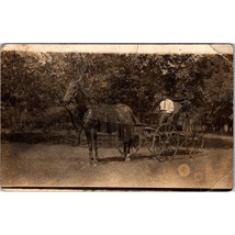 Antique AZO RPPC Lifestyle Postcard, Horse Drawn Carriage with Flynet, Day - £21.93 GBP