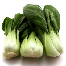 4000+ Canton Pak Choi Seeds - Bok Choy Chinese Cabbage, Non-GMO, Heirloom - £11.07 GBP