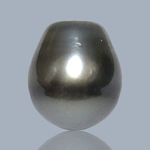 Huge 18.5 Carats 12.7 x 14.8mm Tahitian South Sea Peacock Gray Oval Loose Pearl - $110.87