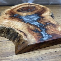 Handmade Florida Camphor Tree Slice Silver Lake Epoxy Resin Artwork Tabl... - $222.75