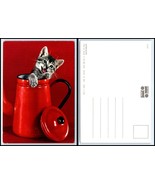 CAT Postcard - Cute Kitten Coming Out Of Tea Pot D20 - $3.97 CAD