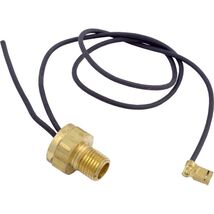 Raypak 600889B 13-B Auto Reset Thermostat - $54.92