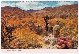 Postcard Spring On The Desert Wildflowers Of The Southwest - £2.37 GBP