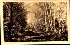 The Birches Crawford Notch Nh New Hampshire Real Photo Rppc Postcard bk63 - £5.53 GBP