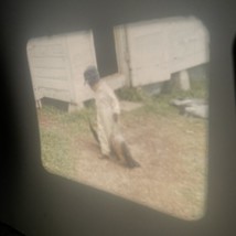 Item image 15