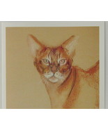 Abyssinian Cat Art Note Cards Solomon - £9.34 GBP